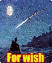 Articles for wish fulfillment