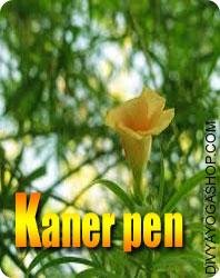 Kaner wooden pen for writing yantra